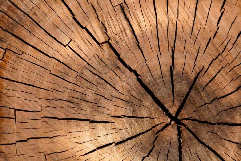 Hardwood Species Showcase